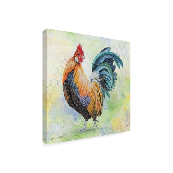 Jean Plout 'Watercolor Rooster Curious' Canvas Art,18x18